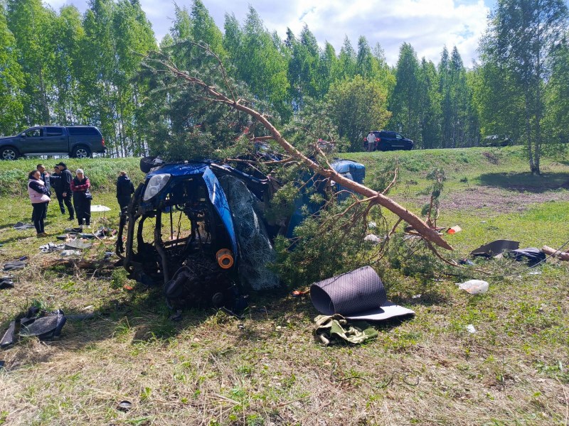 atyurevskiy 04.05.2024.2 800x600 1 В Мордовии пьяный «газелист» с разгона разобрал свою машину в кювете на запчасти