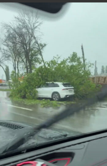 derevo upalo e1715115402239 «Повалило деревья, разбило машины»: последствия разгула стихии по всей России фатальны