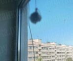 golova za oknom Стало известно, за что в Ижевске мужчина выкинул 10-летнюю школьницу из окна 17-го этажа