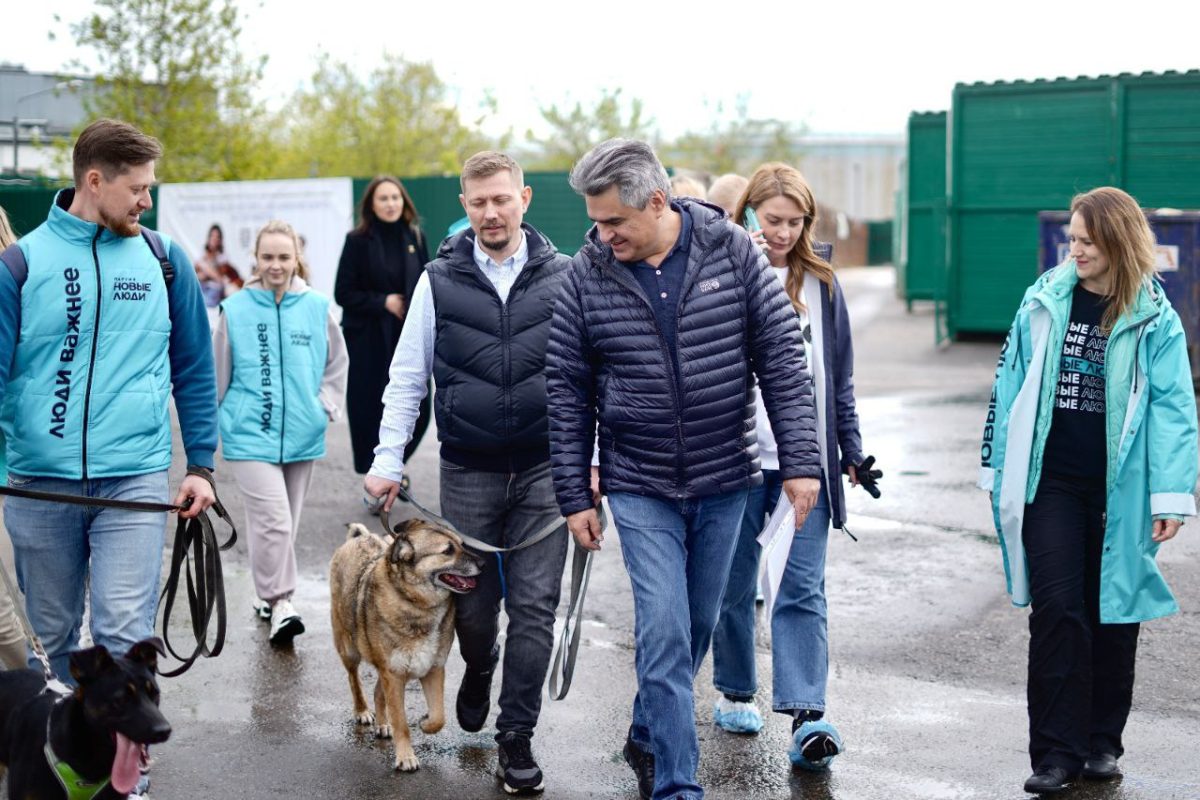 Остановить домашнее насилие, спасти животных, помочь матерям — топ-3 инициативы «Новых людей» для Мордовии