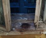 tver padenie s vysoty В прокуратуре Твери раскрыли тайну загадочного падения девочки-подростка с 4-го этажа