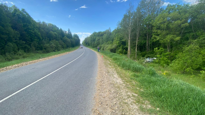 bolsheignatovskiy 02.06.12 800x600 1 В Мордовии иномарка влетела в дерево – пострадала пенсионерка