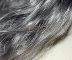 curly 4990030 1280 Специалист рассказал, почему некоторые люди рано седеют