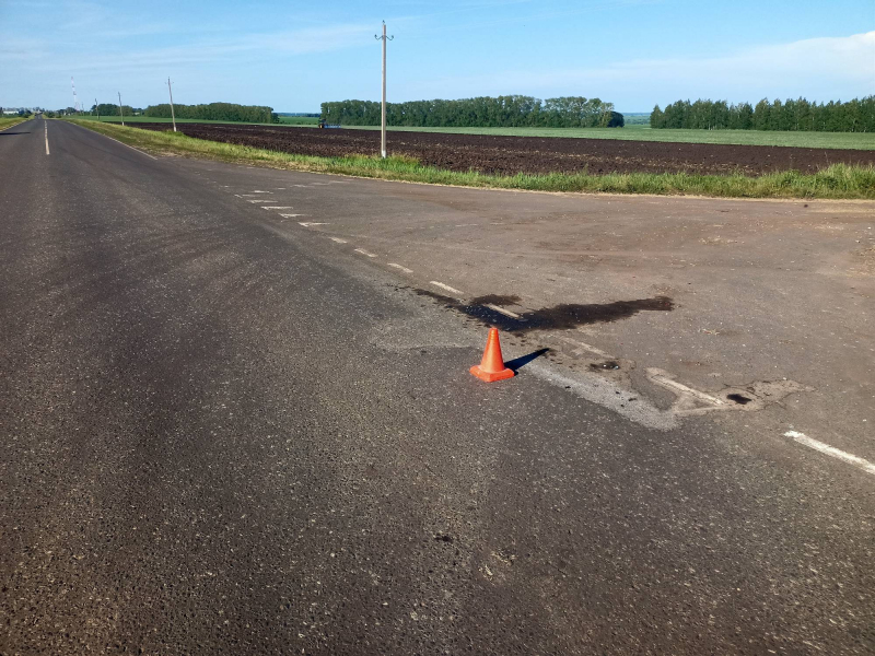 kadoshkinskiy 14.06 800x600 1 В Мордовии пенсионер устроил лобовое ДТП