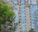 spas voronu v moskve e1718455560461 Житель Москвы залез на столб, чтобы спасти умирающую ворону: герою аплодировал весь двор
