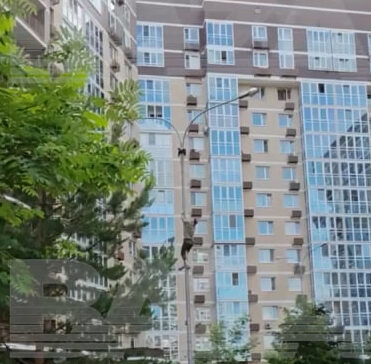 spas voronu v moskve e1718455560461 Житель Москвы залез на столб, чтобы спасти умирающую ворону: герою аплодировал весь двор