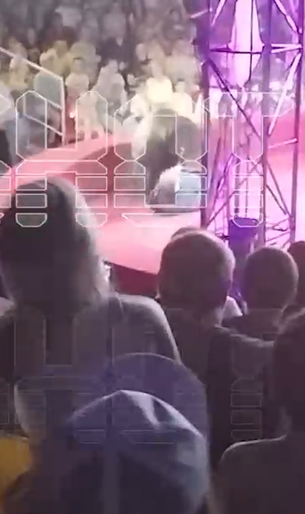 zadrala medveditsa e1717285006192 Медведица едва не разорвала в клочья дрессировщика в цирке «Счастье»