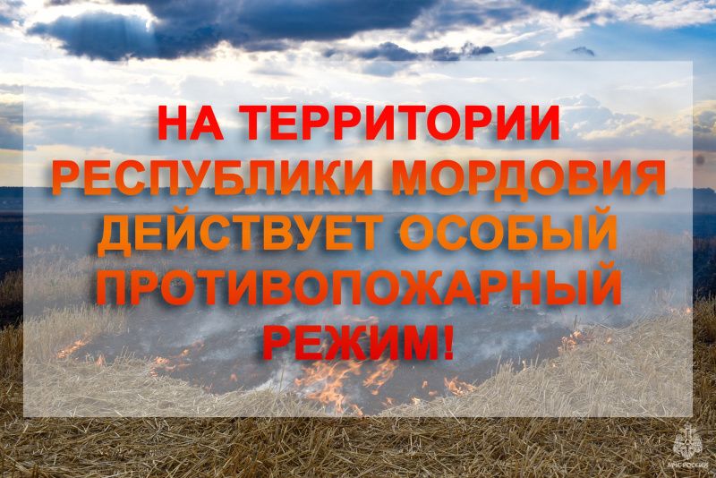 icts3tzj7mc В Мордовии продлили запрет на посещение лесов