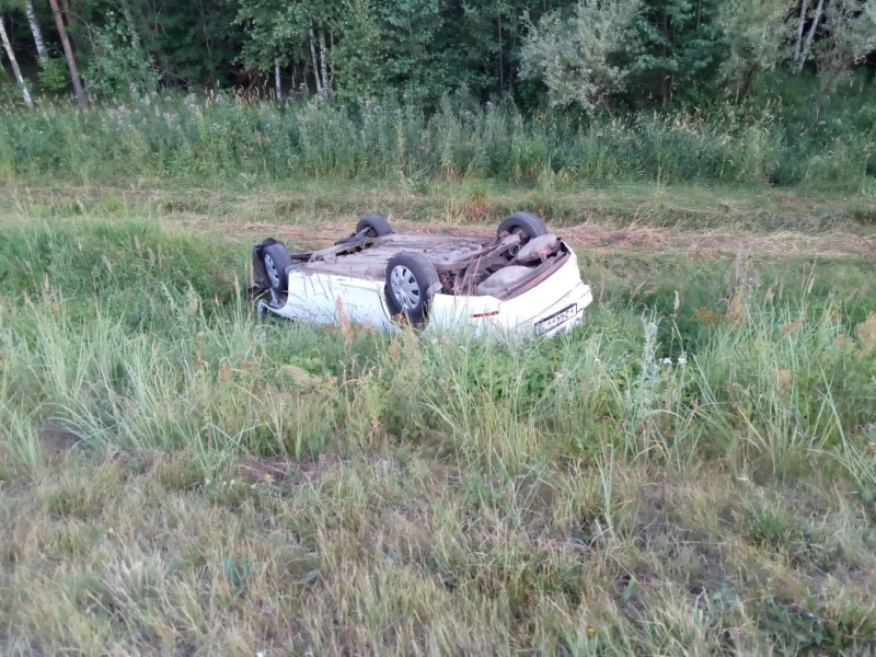 krasnoslobodskiy rayon 12.07.24.1 800x600 1 В Мордовии мужчина спасал собаку и остался без автомобиля