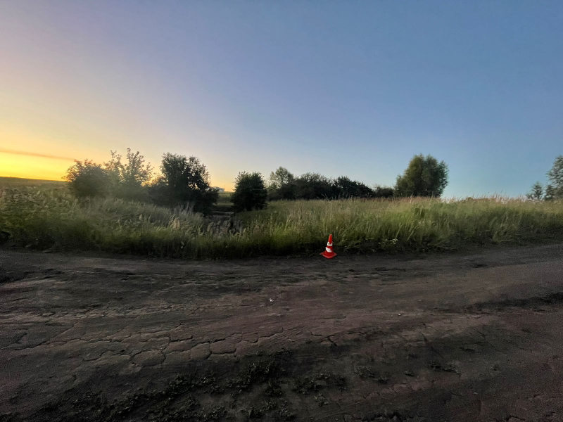 luhovka 12.07.24 19.002 800x600 1 В Саранске водитель мопеда устроил ДТП и попал в больницу
