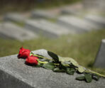 view gravestone with flowers 1 Театр Ленсовета сообщил о месте прощания с актером Владимиром Матвеевым