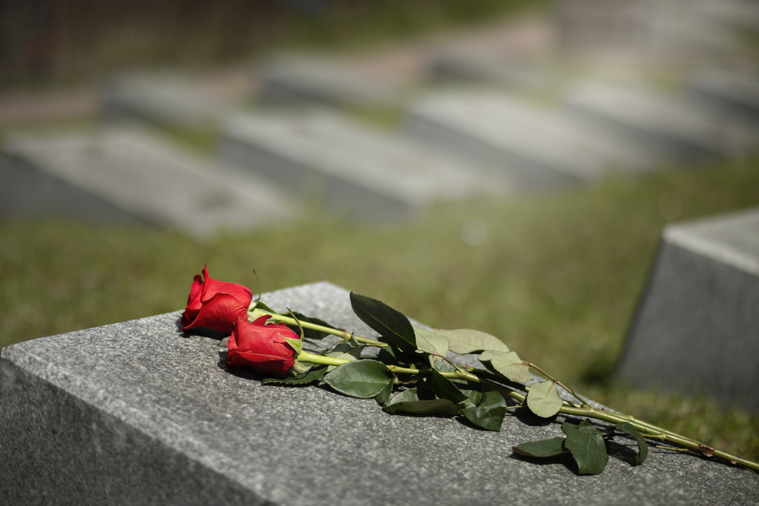 view gravestone with flowers 1 scaled Театр Ленсовета сообщил о месте прощания с актером Владимиром Матвеевым