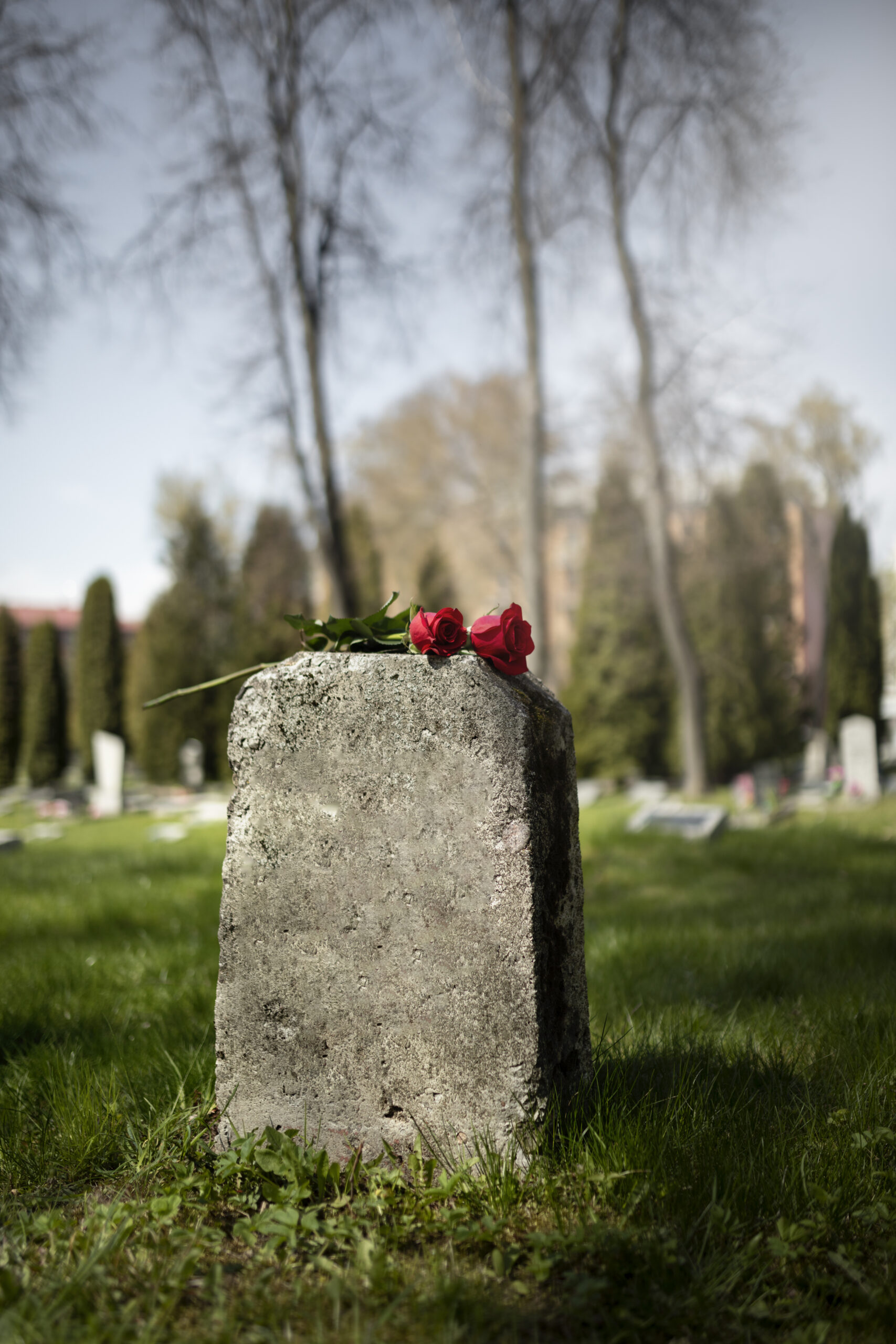 view gravestone with flowers 3 scaled Стали известны подробности смерти актера, сыгравшего Гитлера