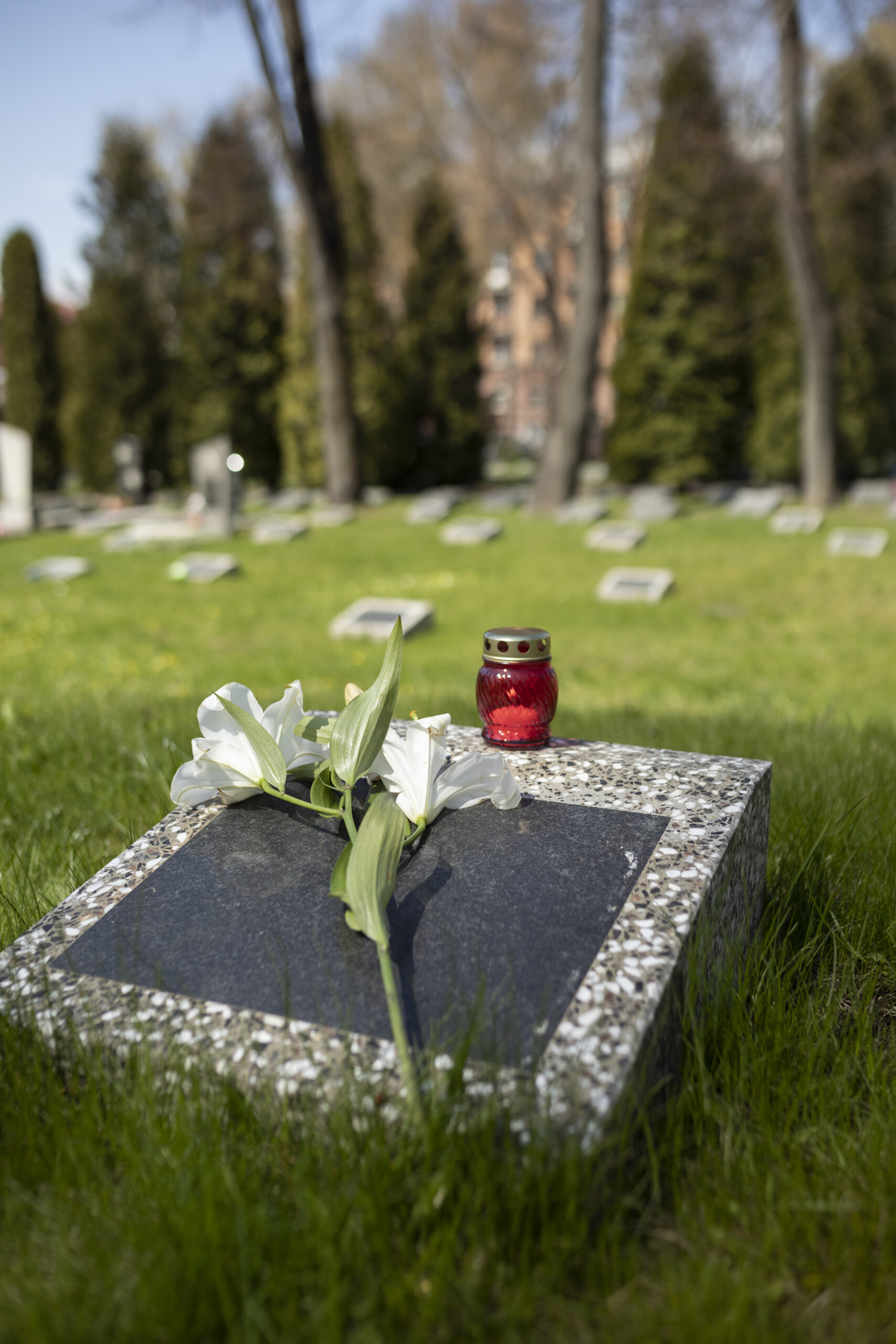 view gravestone with flowers candle 1 scaled Стала известна дата похорон сценариста и кинооператора Дмитрия Мишина