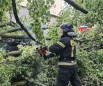 zavalilo derevo В Петербурге сообщили, какие районы города серьезнее всего пострадали от урагана 1 июля