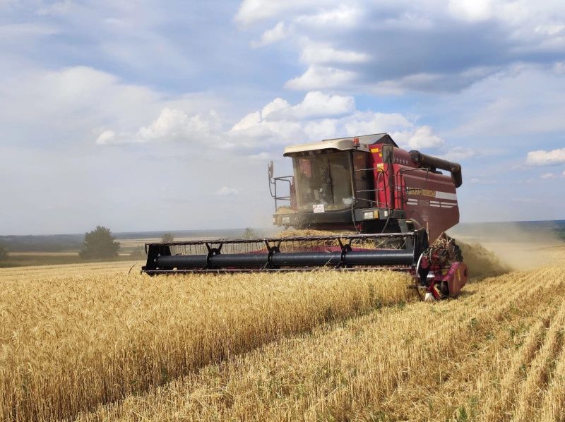 8p palnbusw В Мордовии намолотили 1 млн тонн зерна