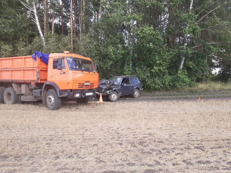 bolsheignatovskiy rayon 800x600 1 В Мордовии в поле не разминулись "КамАЗ" и "Лада"