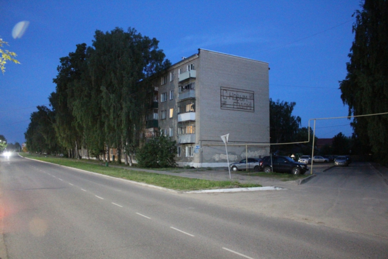 img 9025 800x600 1 Житель Мордовии посреди улицы отобрал сумочку у пенсионерки