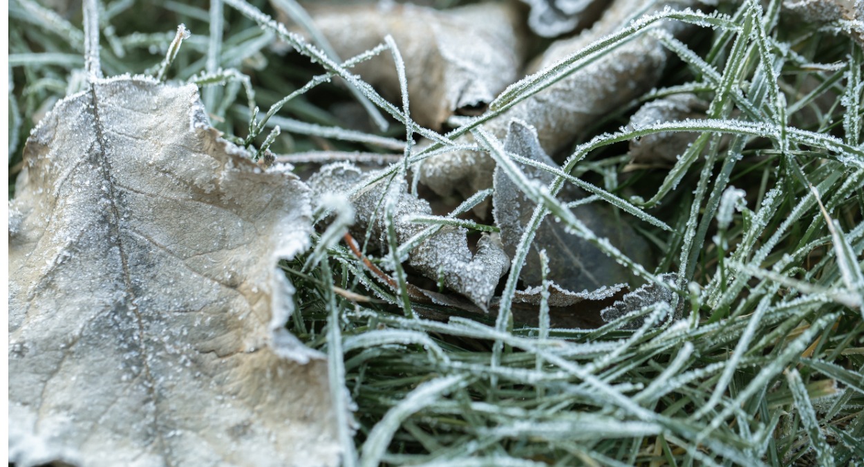 collage 22 В Мордовии на 23-25 сентября объявили оперативное предупреждение