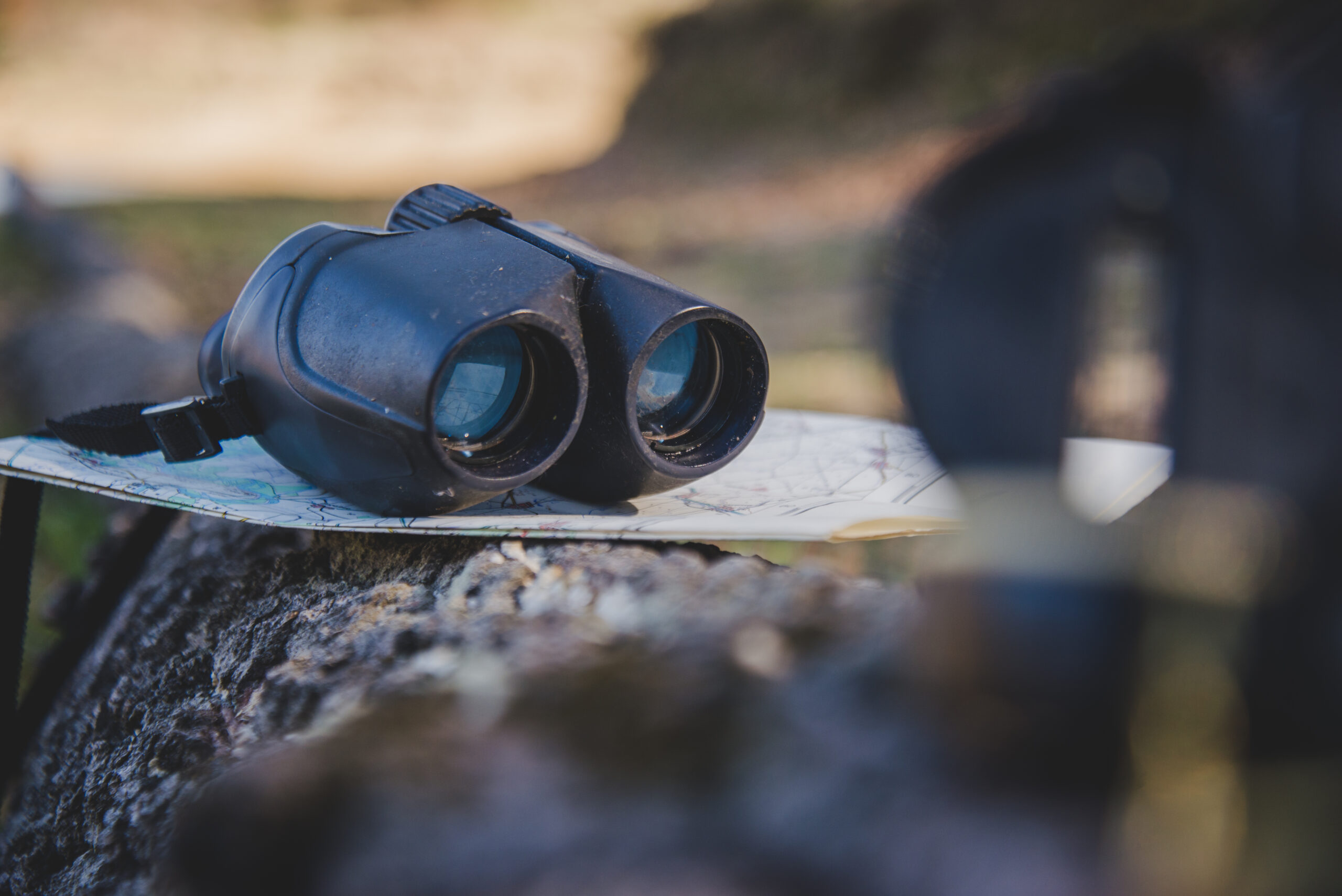 map binoculars fallen log scaled В Мордовии волонтеры "ЛизаАлерт" обучат всех желающих поиску людей