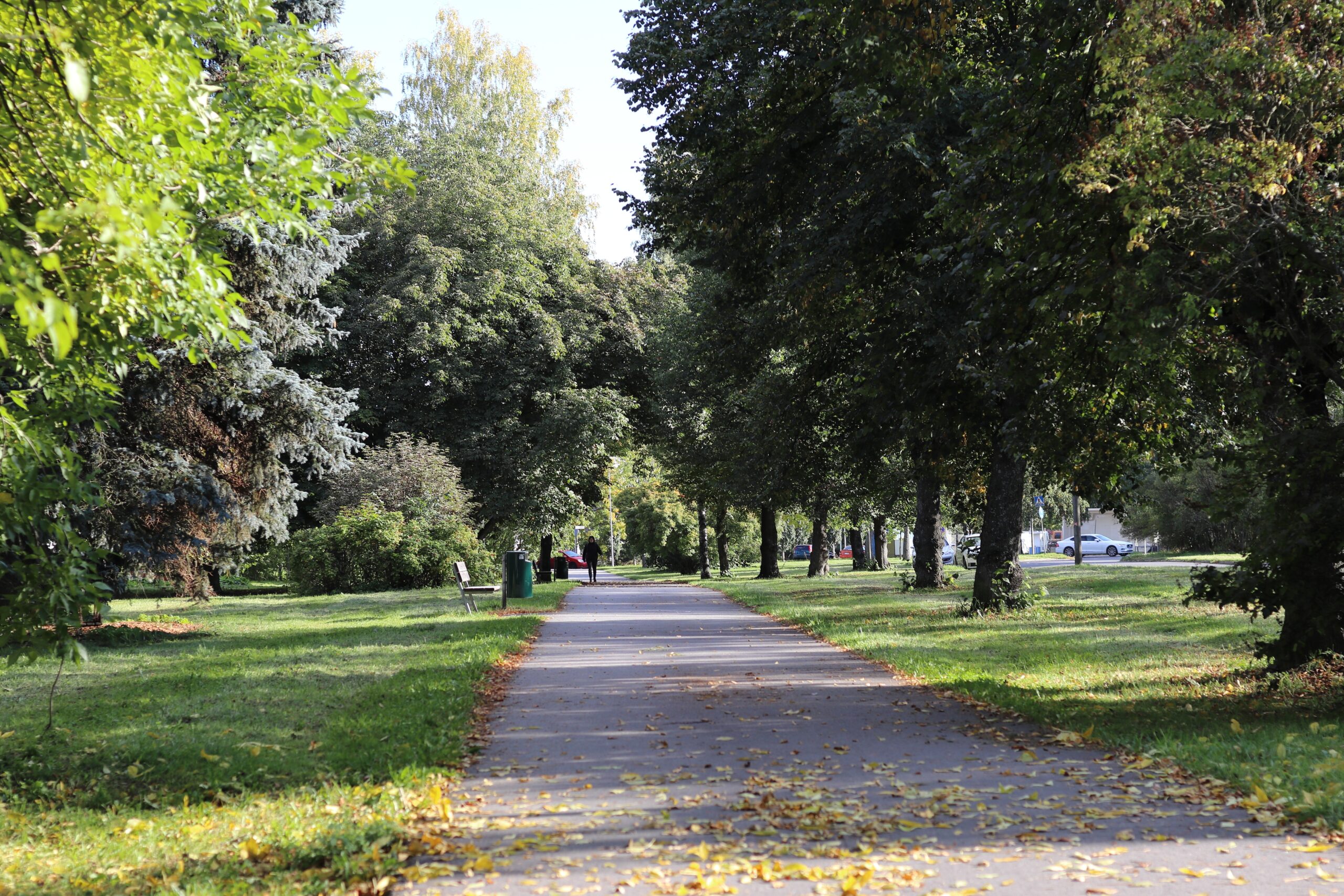 beautiful view sidewalk surrounded by tall trees grass covered fields scaled В Лямбире обновили парк