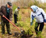 ekologiya1 В Мордовии высадили более 20 тысяч деревьев