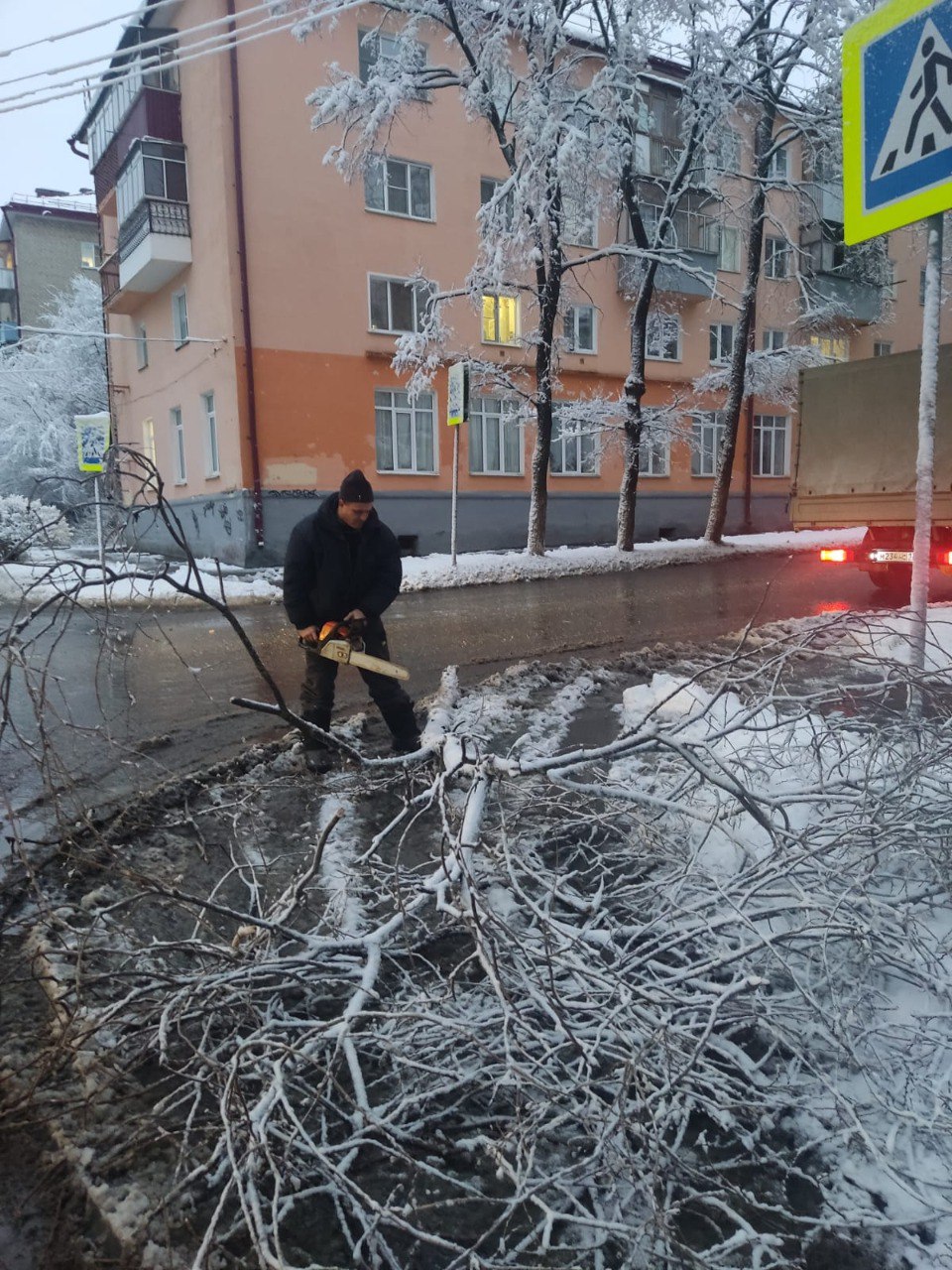 photo 2024 11 25 17 51 15 Жители Саранска жалуются на опасные деревья
