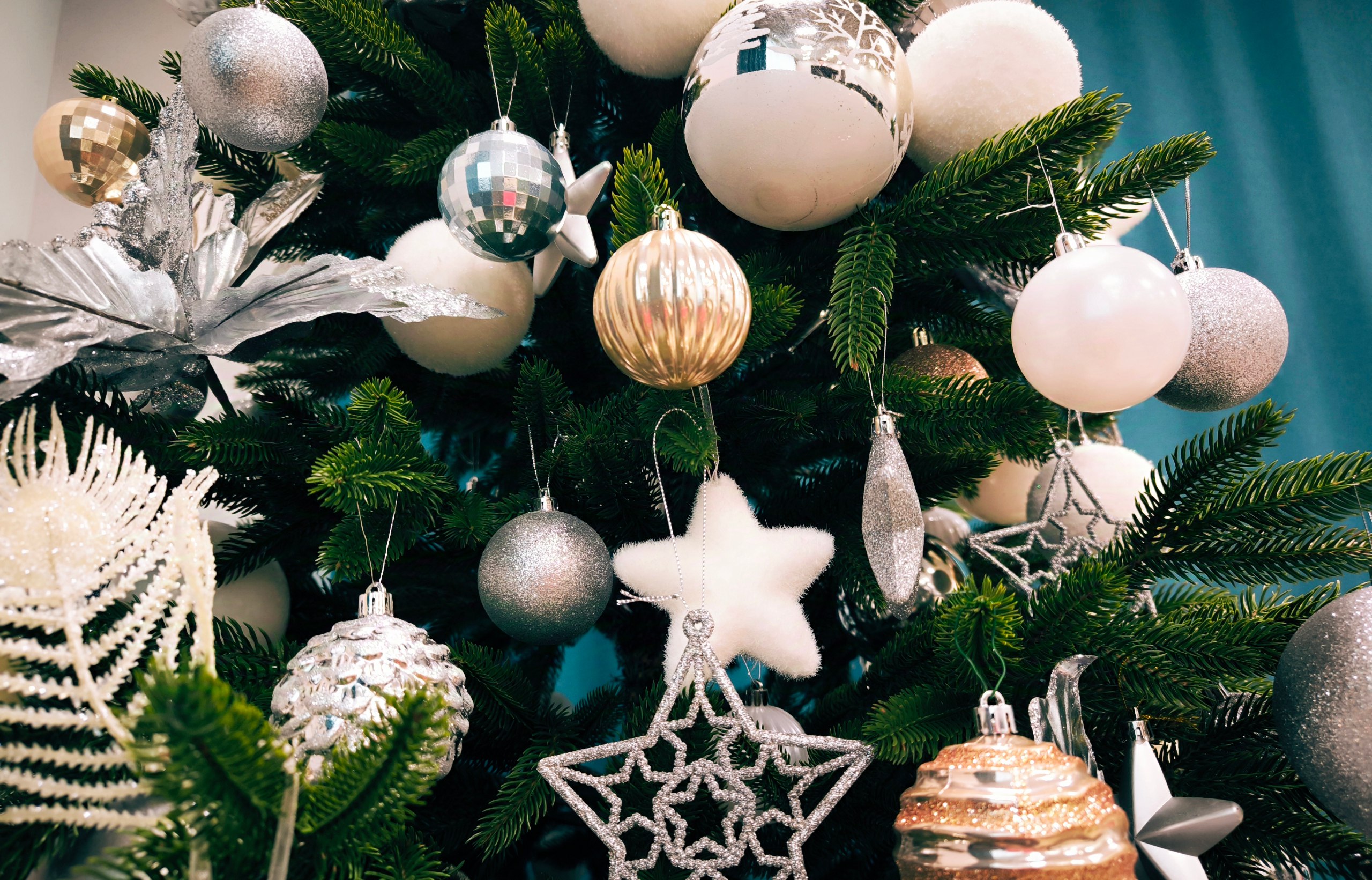 photo 2024 11 29 13 38 12 Социальные навыки и адаптация в жизни: стартует новогодняя акция помощи детям-сиротам