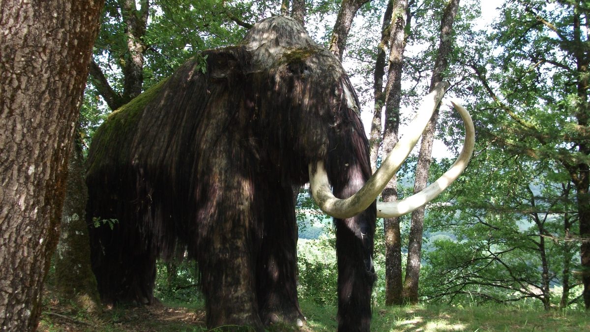 фото: pxhere.com/СС0