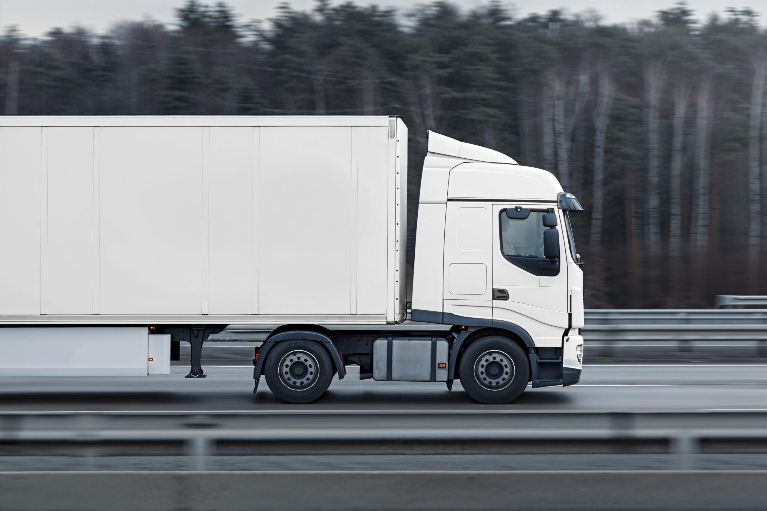 blank cargo truck road scaled В Мордовии на лесовозы установят систему мониторинга ГЛОНАСС