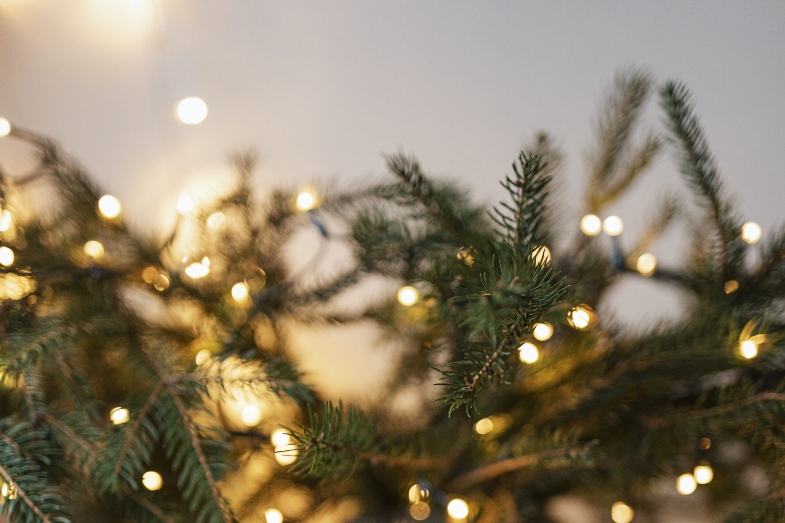 christmas tree decorated by lights scaled В Рузаевка установят восемь ёлок