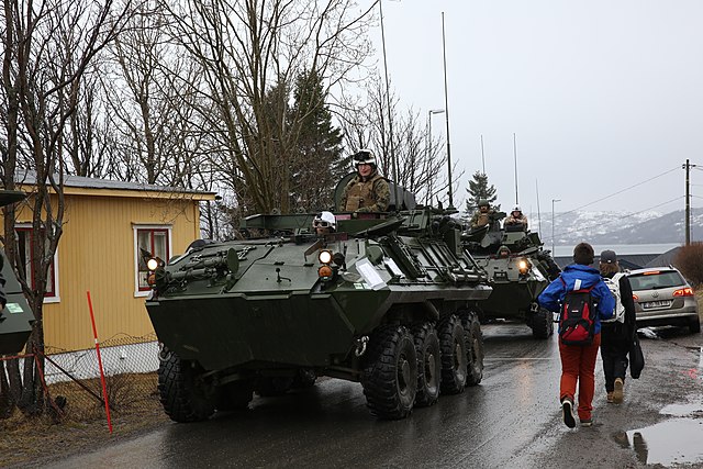 lav in town sorreisa В Эстонии проходят натовские учения "Молния"