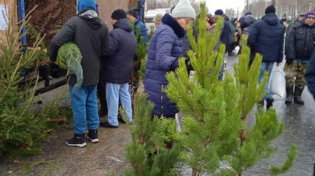 screenshot 2024 12 19t075125.253 Предновогодняя ярмарка пройдет в Саранске