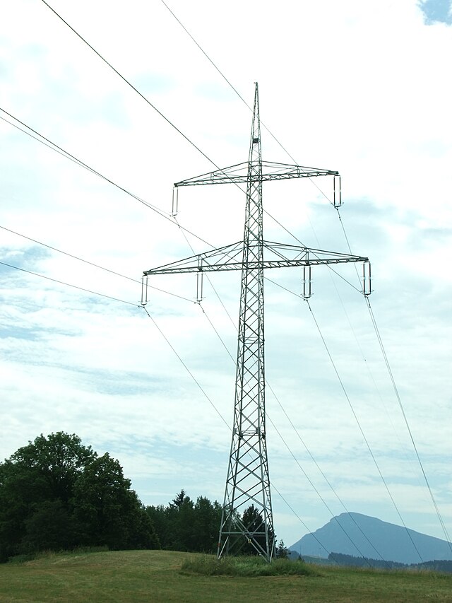 Фото: commons.wikimedia.org/Oto Zapletal/Creative Commons Attribution-Share Alike 4.0