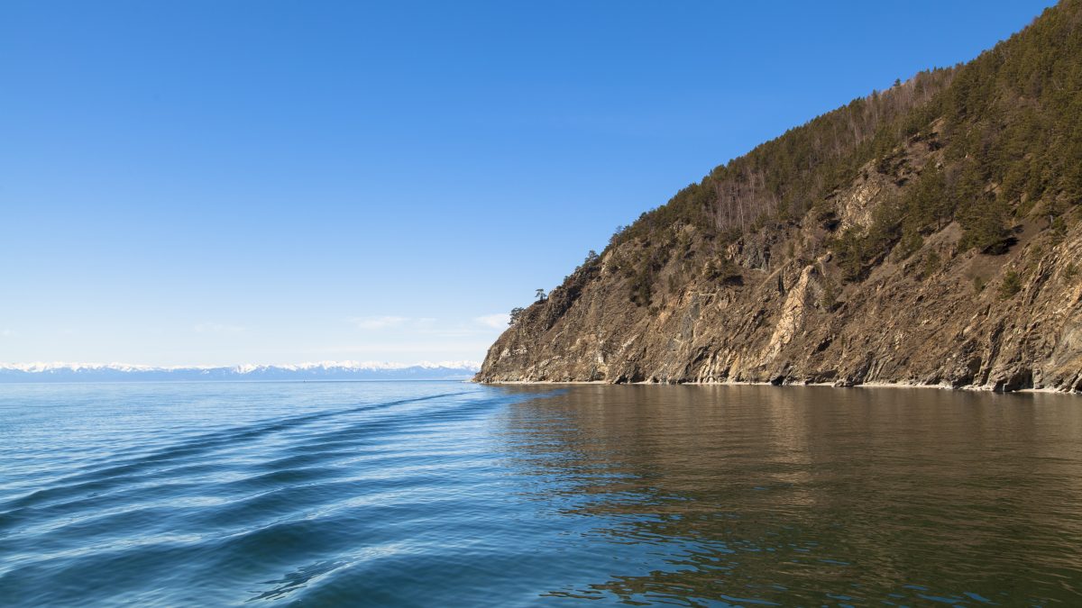 фото: pxhere.com/СС0