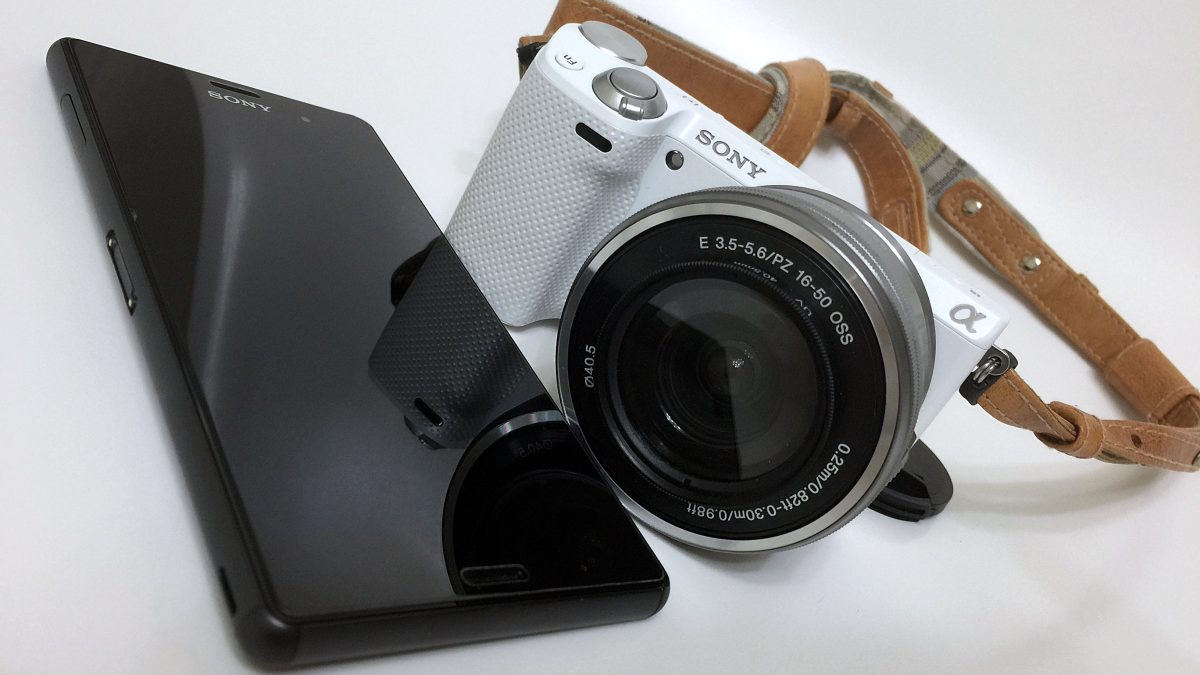 фото: pxhere.com/СС0