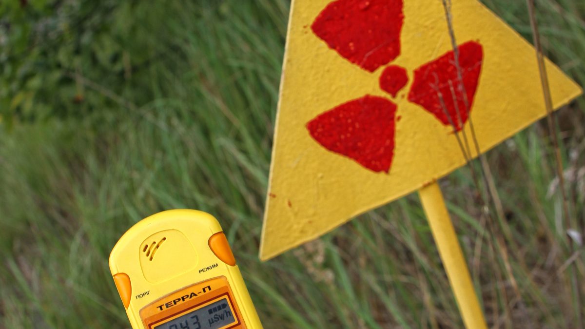 фото: pxhere.com/СС0