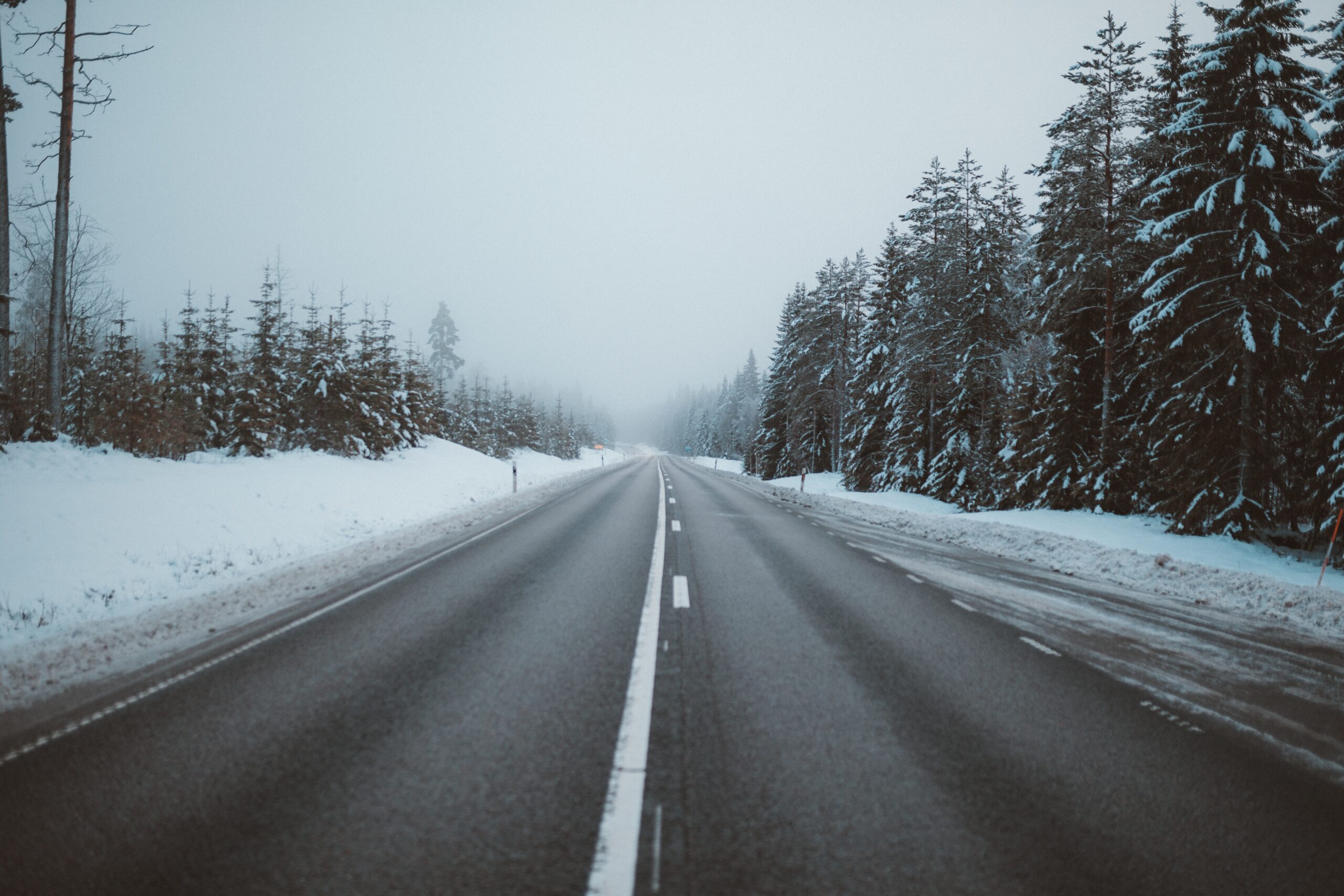 magnificent view road surrounded by trees snow covered fields captured sweden scaled В Саранске ограничили стоянку из-за уборки снега
