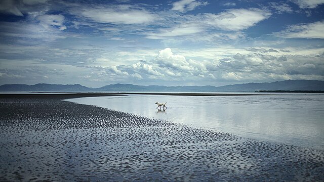 Фото: commons.wikimedia.org/Paolobon140/Creative Commons Attribution-Share Alike 4.0
