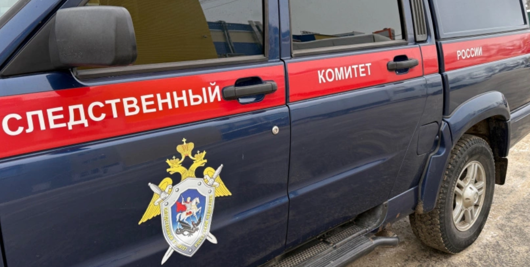 screenshot 2025 01 13t073234.075 В Саранске осудили подростков, устроивших грабеж в женских чулках