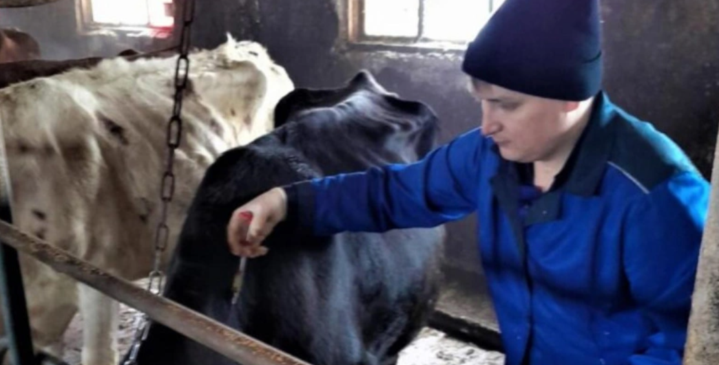 screenshot 2025 01 25t140527.317 Масштабная вакцинация крупного рогатого скота проходит в Мордовии