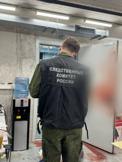sk rf moskva «28 ударов ножом»: стало известно, что сделали с жестоким убийцей собственной сестры в Петербурге