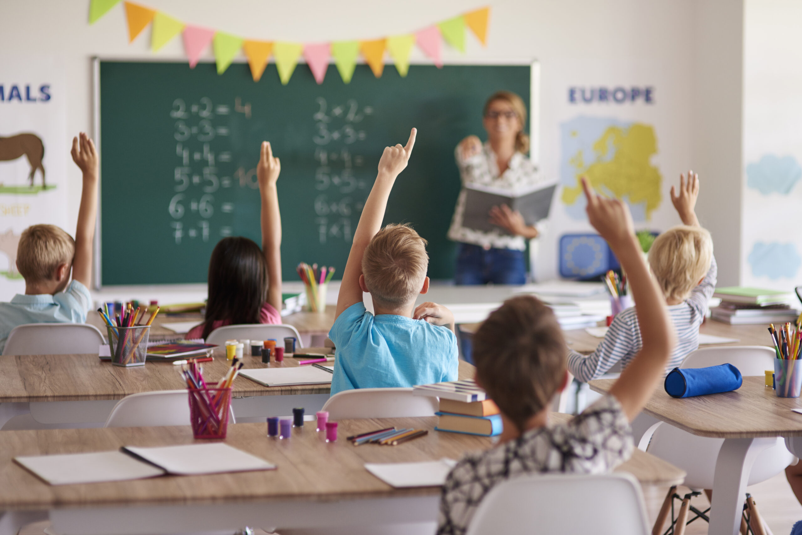 students knowing right answer 1 scaled В Мордовии массово рассылают сообщения о готовящихся нападениях на школы