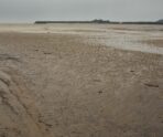 tidal mudflat ecosystem french guiana На Кубани начали воровать речной песок: местный чиновник нанес ущерба природе на 20 млн рублей