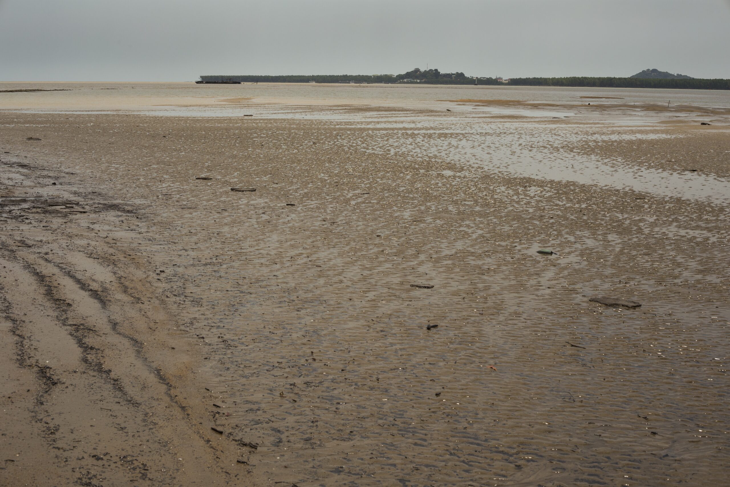 tidal mudflat ecosystem french guiana scaled На Кубани начали воровать речной песок: местный чиновник нанес ущерба природе на 20 млн рублей