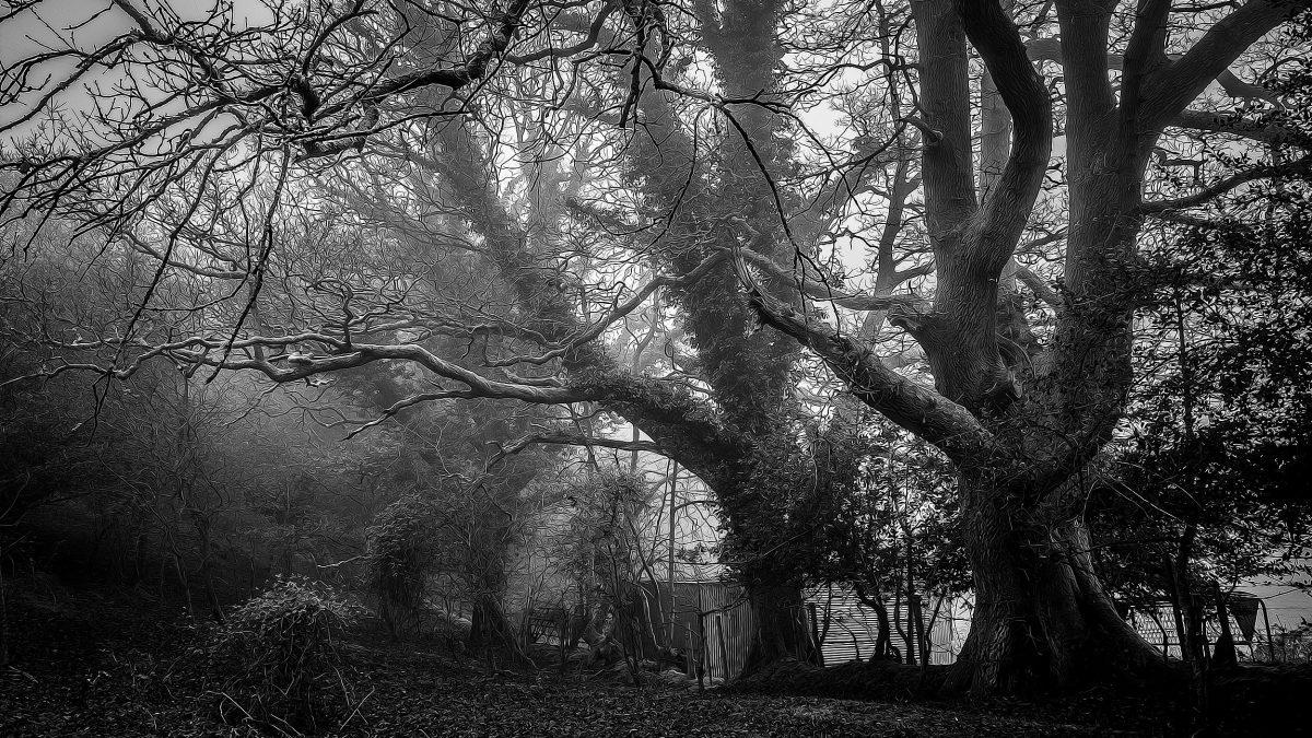 фото: pxhere.com/СС0