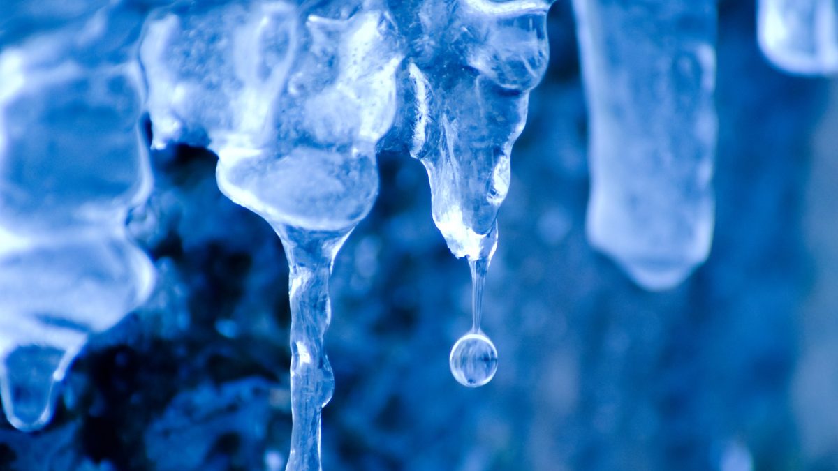 фото: pxhere.com/CC0