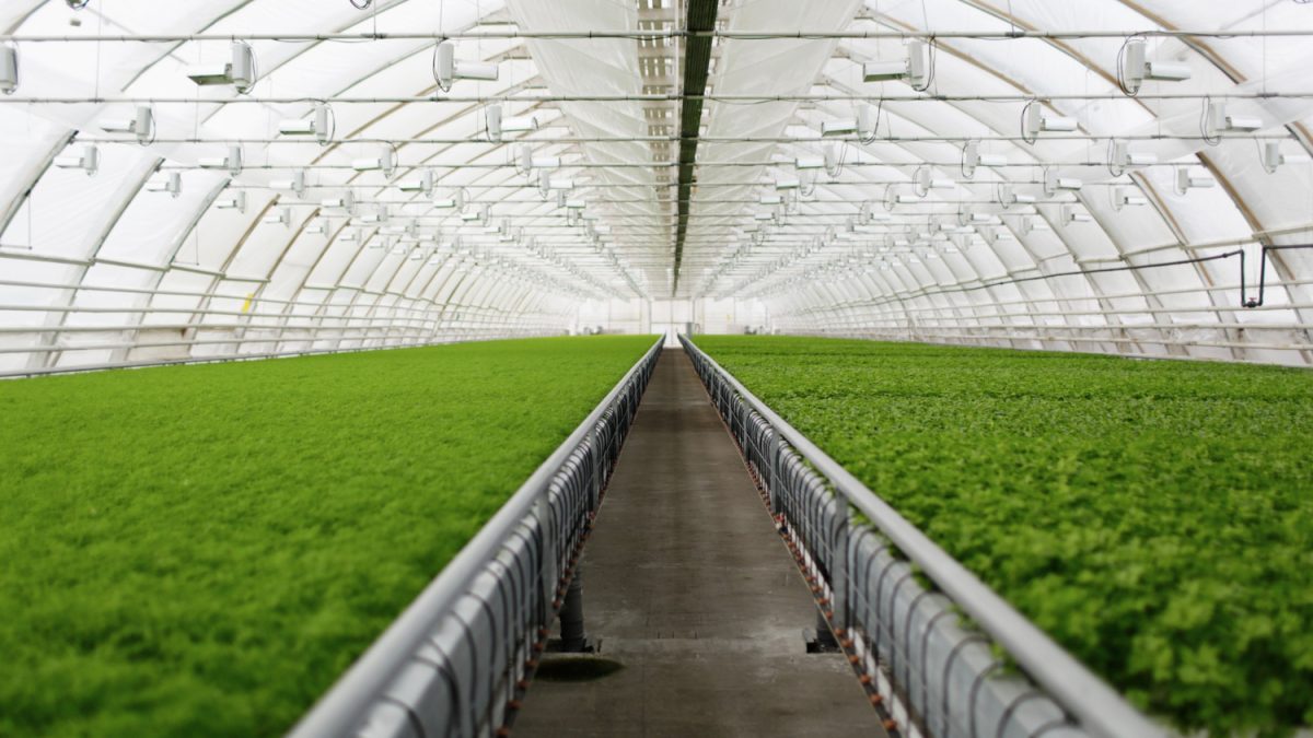 Фото: wayhomestudio на Freepik