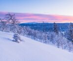 breathtaking view forest covered with snow sunset norway В Мордовии ожидается морозный день