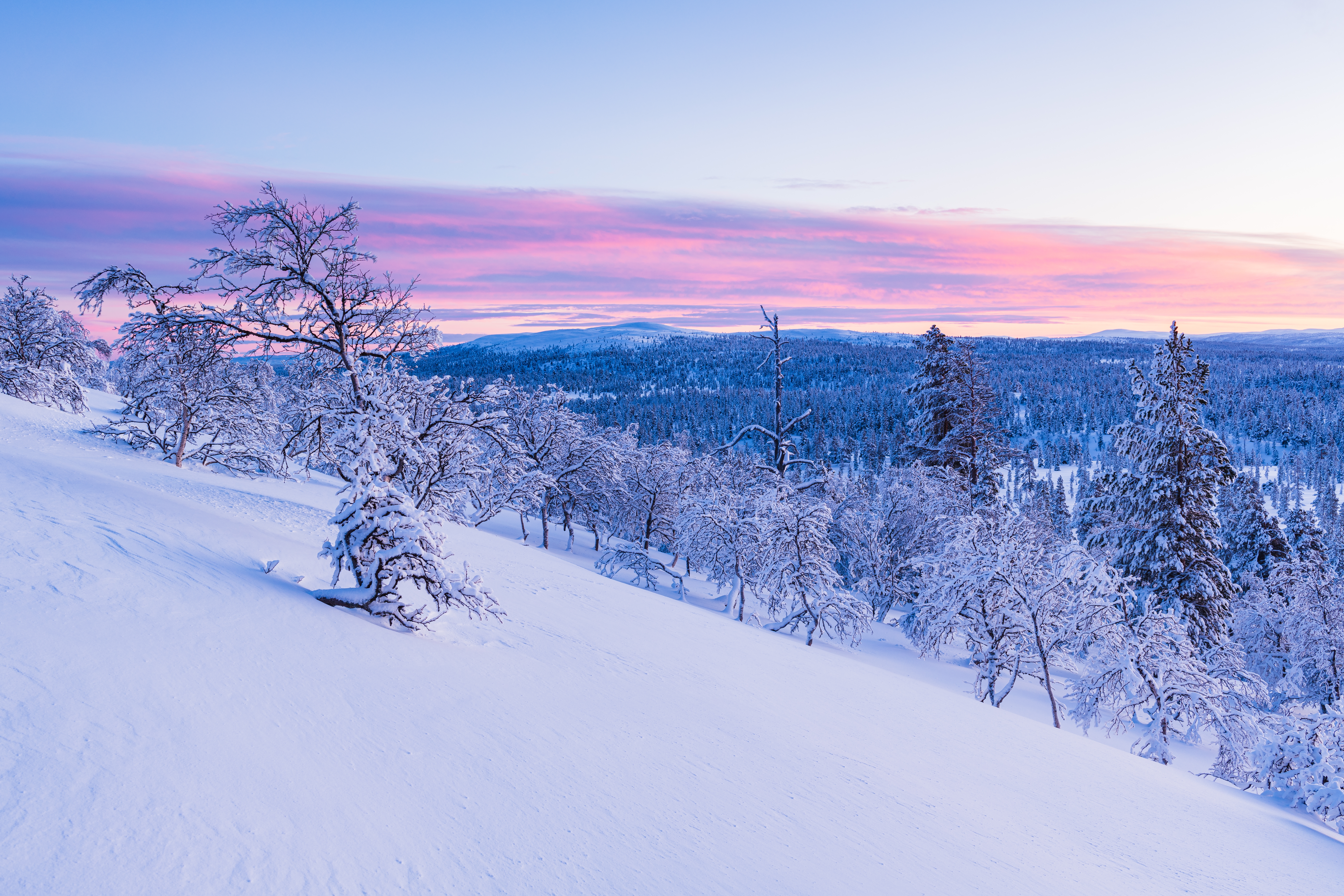 breathtaking view forest covered with snow sunset norway В Мордовии ожидается морозный день